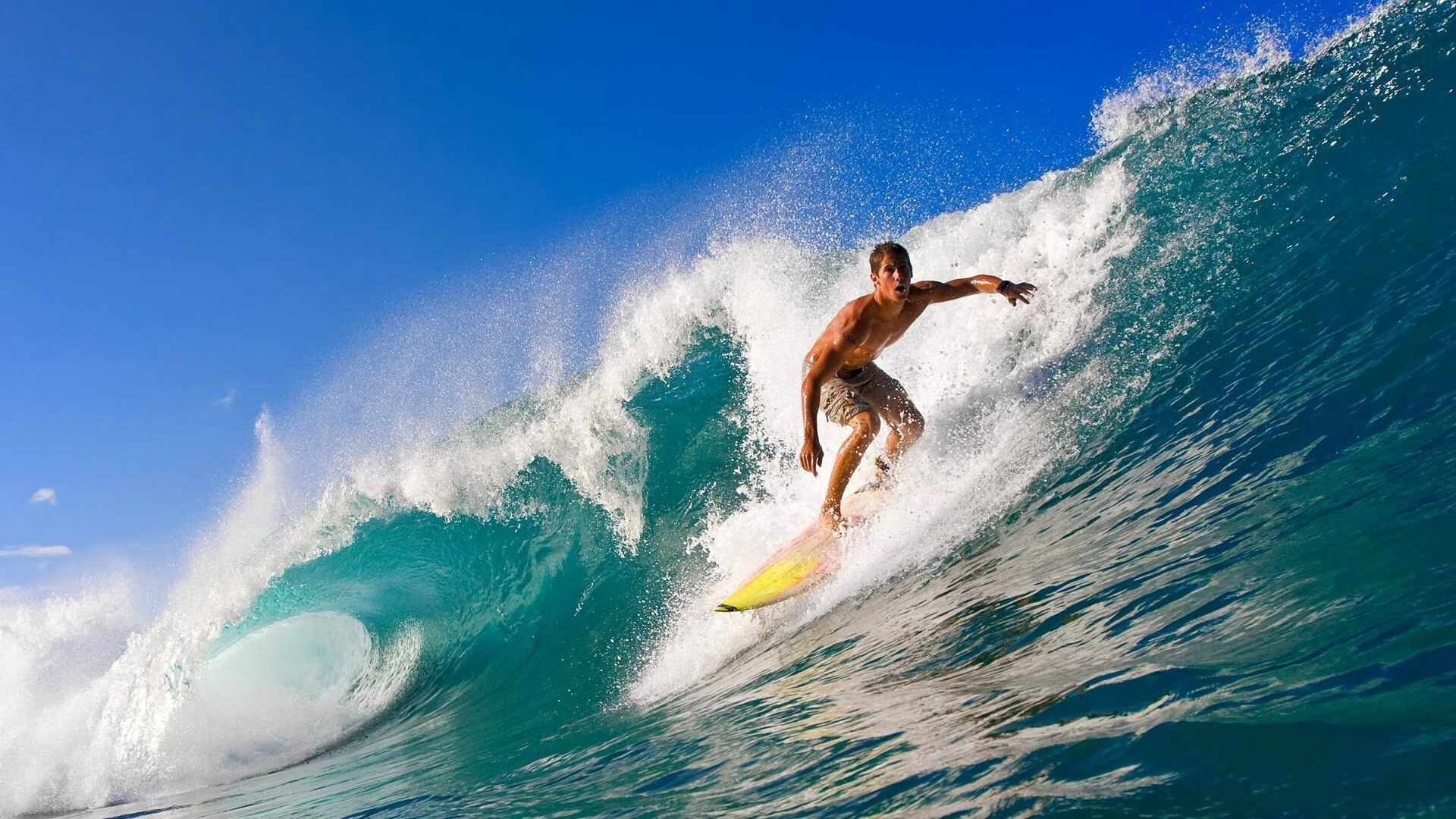 世界杯激烈抢分：每一场都令人心跳加速，世界杯激动人心时刻